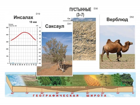 Модель-аппликация природных зон Земли