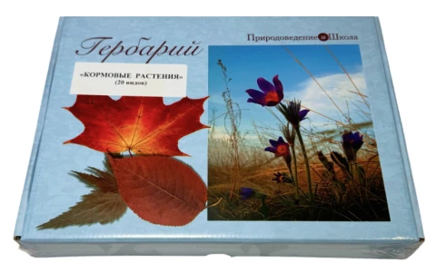 Гербарий «Кормовые растения»