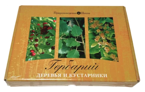 Гербарий «Деревья и кустарники»