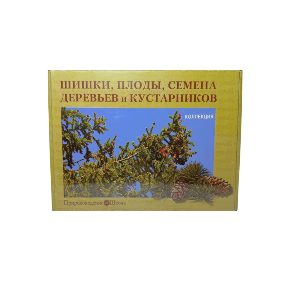 Коллекция демонстрационная «Шишки, плоды, семена деревьев и кустарников»