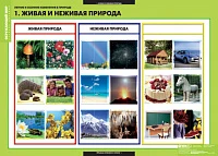 Учебный альбом из 13 листов и 32 карт. «Окружающий мир. Летние и осенние изменения в природе»