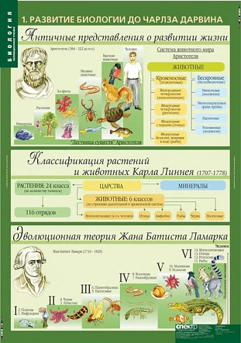 Комплект демонстрационных учебных таблиц (кабинет биологии)